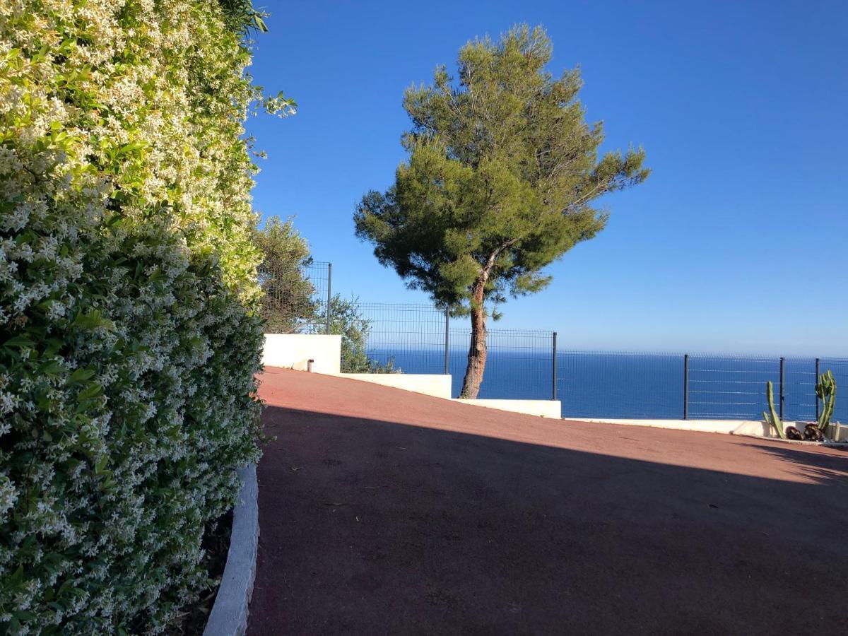 Vue Mer.Tranquilite.Cap D'Ail A 10 Mn De Monaco 카프다일 외부 사진